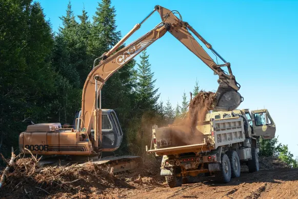 Lupin Casino Soporte